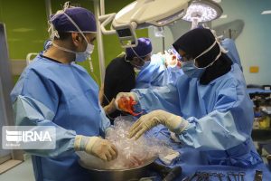 اهدای اعضای بدن بیمار مرگ مغزی در مشهد جان چهار بیمار را
نجات داد