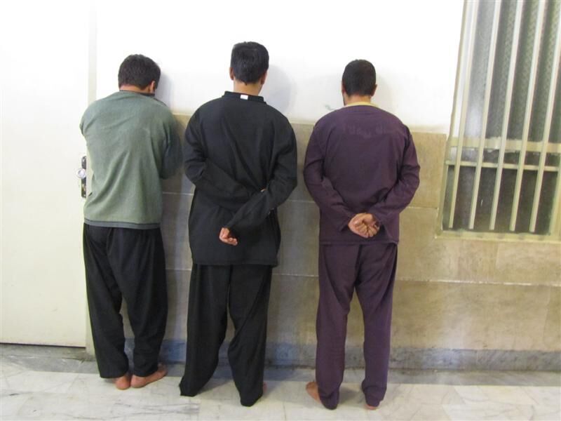 سه مخل نظم و امنیت عمومی در امامشهر یزد دستگیر شدند