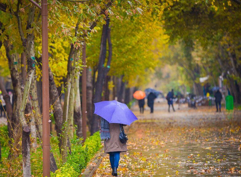 نخستین باران پاییزی شیراز، تلخ و شیرین