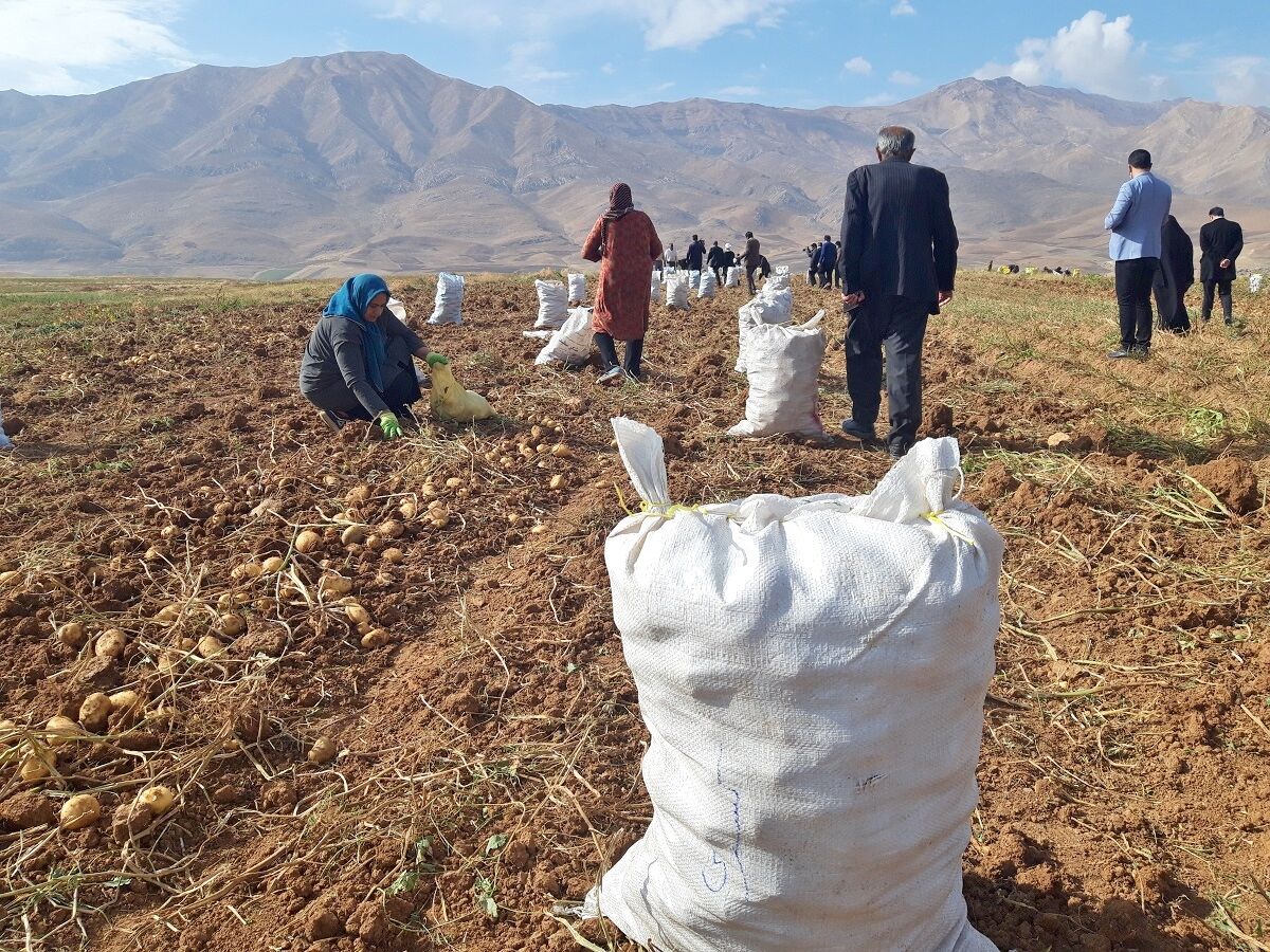 ۷۰ درصد بهره برداران کشاورزی استان اصفهان تحت پوشش بیمه
نیستند