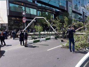 بی توجهی سامانه ۱۳۷ شهرداری تهران به حادثه سقوط درخت روی راکب موتور سیکلت!