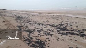 ساحل گناوه به مواد نفتی آلوده شد!